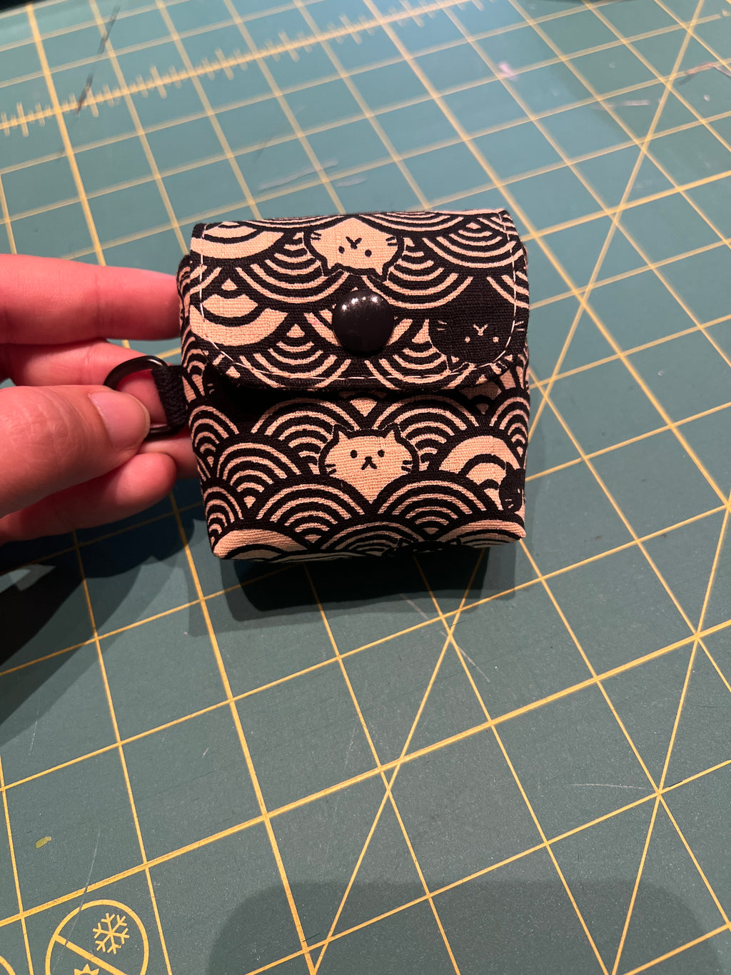 AirPod Case